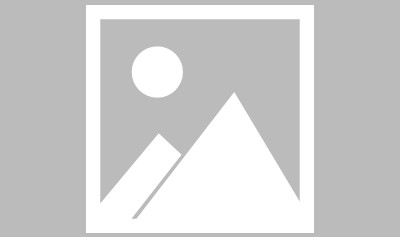 世界杯官方直播软件下载-【体坛热搜】如何定义字母哥？后现代版大鲨鱼！